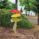 „Trzeci lokalny festyn na Kruczej-Poznajmy się!” 16.06.2023 r._107