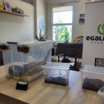 DRUGI LOKALNY FESTYN NA KRUCZEJ „POZNAJMY SIĘ”_191