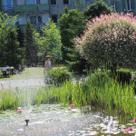 „Lokalny festyn na Kruczej- Poznajmy się!” w skrócie_219