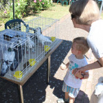 „Lokalny festyn na Kruczej- Poznajmy się!” w skrócie_131