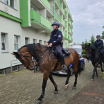 Czwarty lokalny festyn na Kruczej-Olimpiada