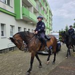 Czwarty lokalny festyn na Kruczej-Olimpiada